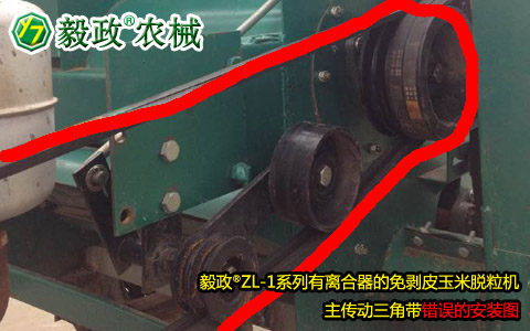 毅政牌ZL1系列有離合器的免剝皮玉米脫粒機，主傳動三角帶錯誤安裝